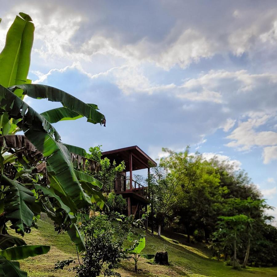 Yumas Riverfront Lodge San Ignacio Bagian luar foto
