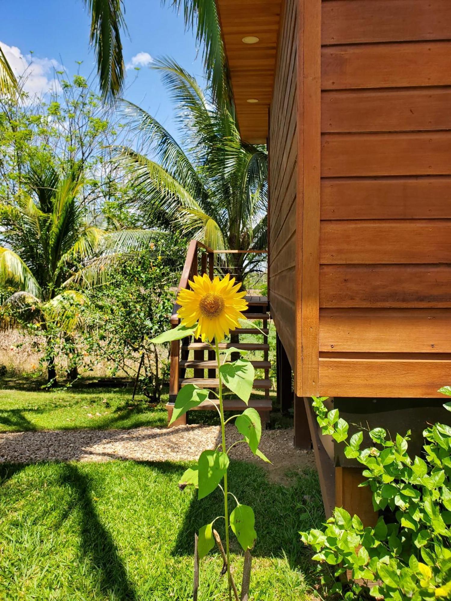 Yumas Riverfront Lodge San Ignacio Bagian luar foto