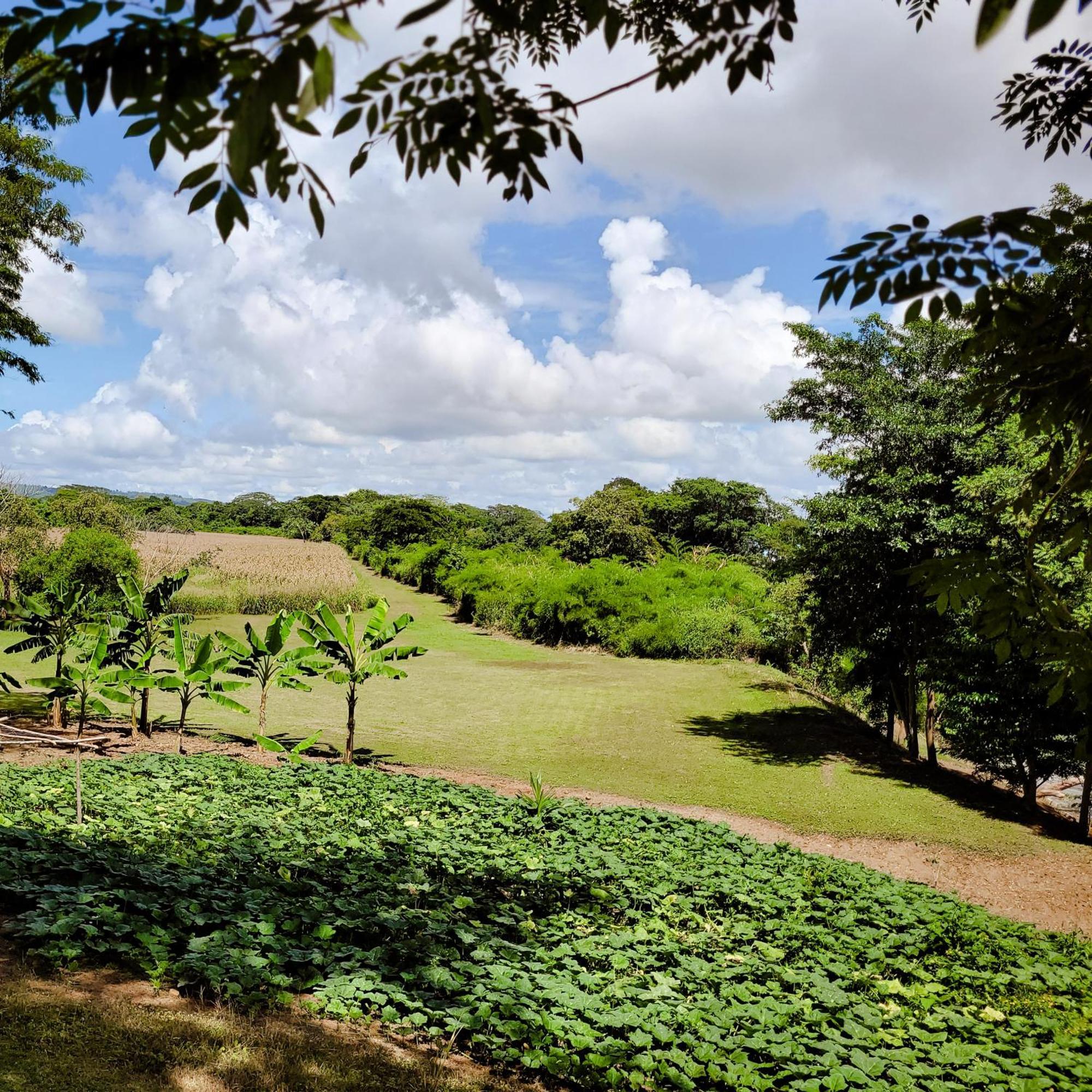 Yumas Riverfront Lodge San Ignacio Bagian luar foto