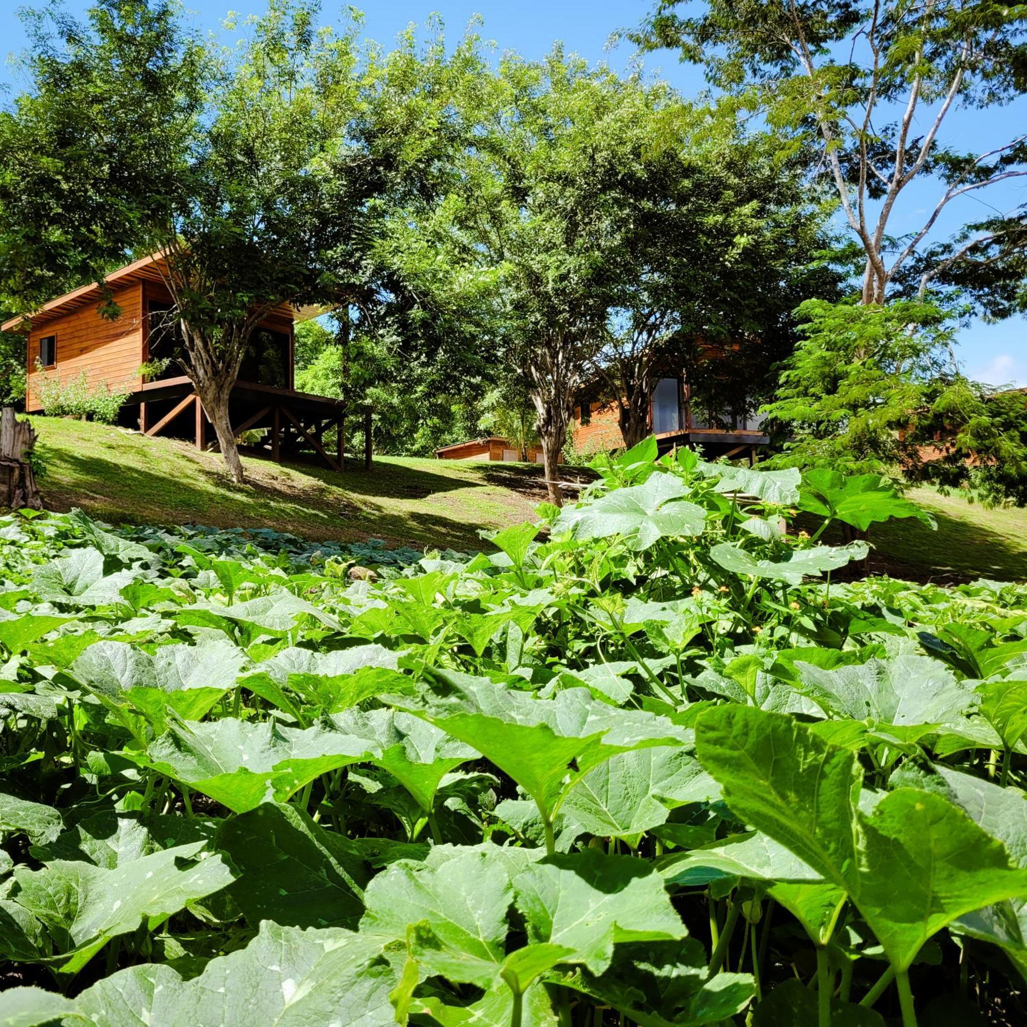 Yumas Riverfront Lodge San Ignacio Bagian luar foto
