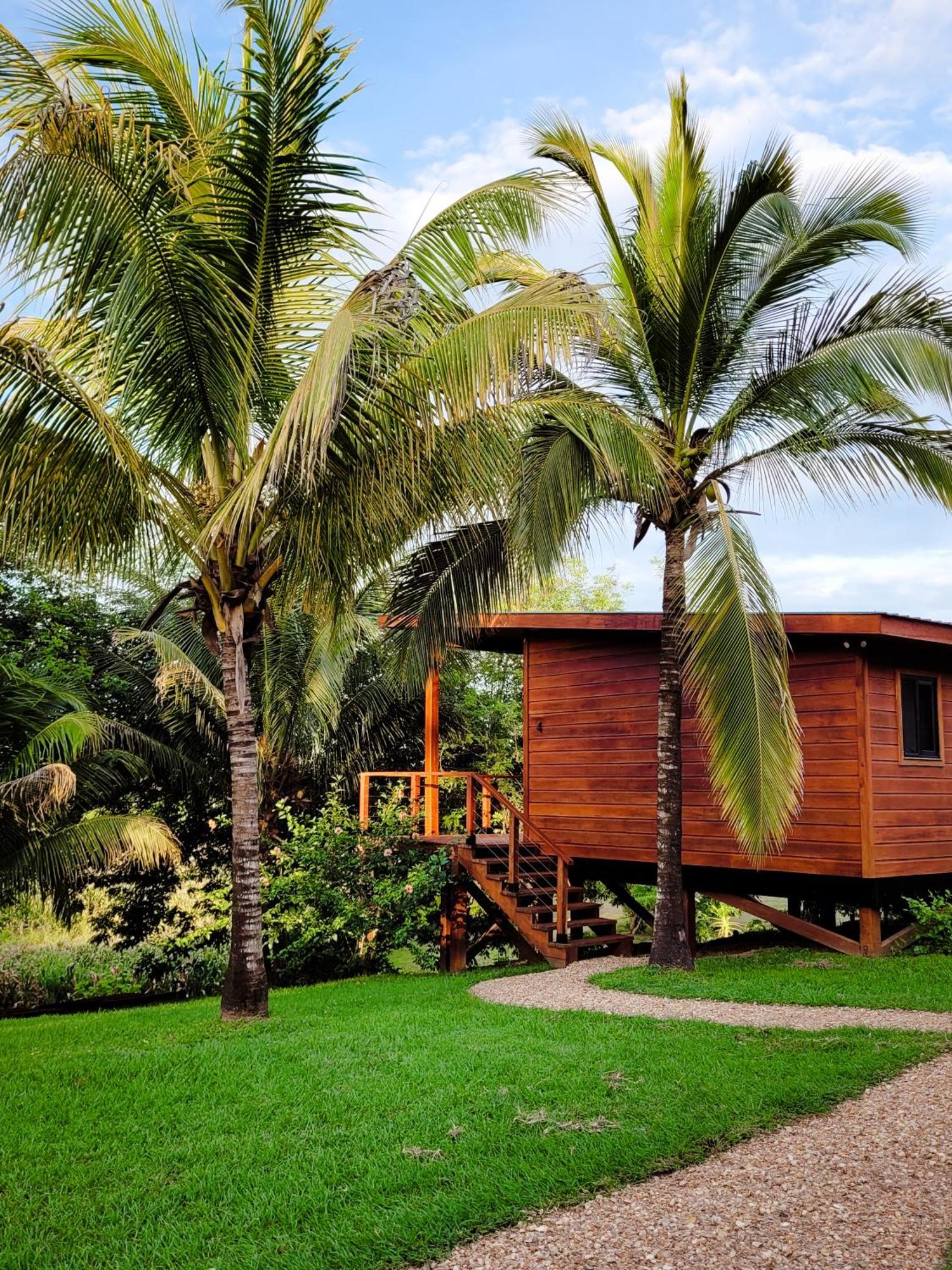 Yumas Riverfront Lodge San Ignacio Bagian luar foto